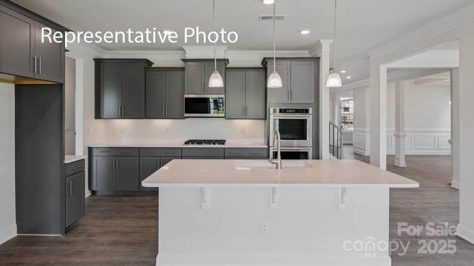 1052 Tundra Swan Drive - Photo 1