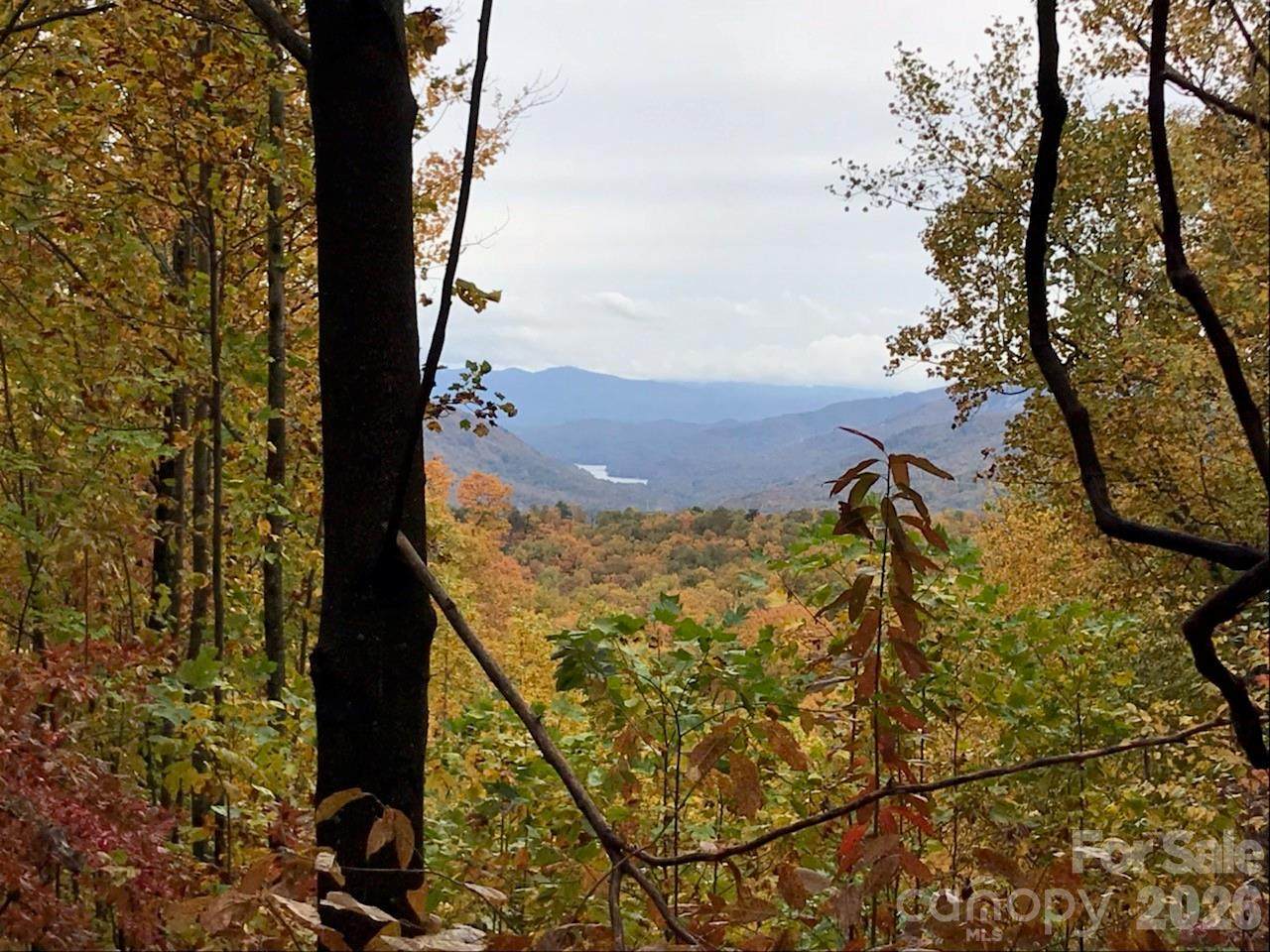 100 Wolf Pen Road - Photo 1