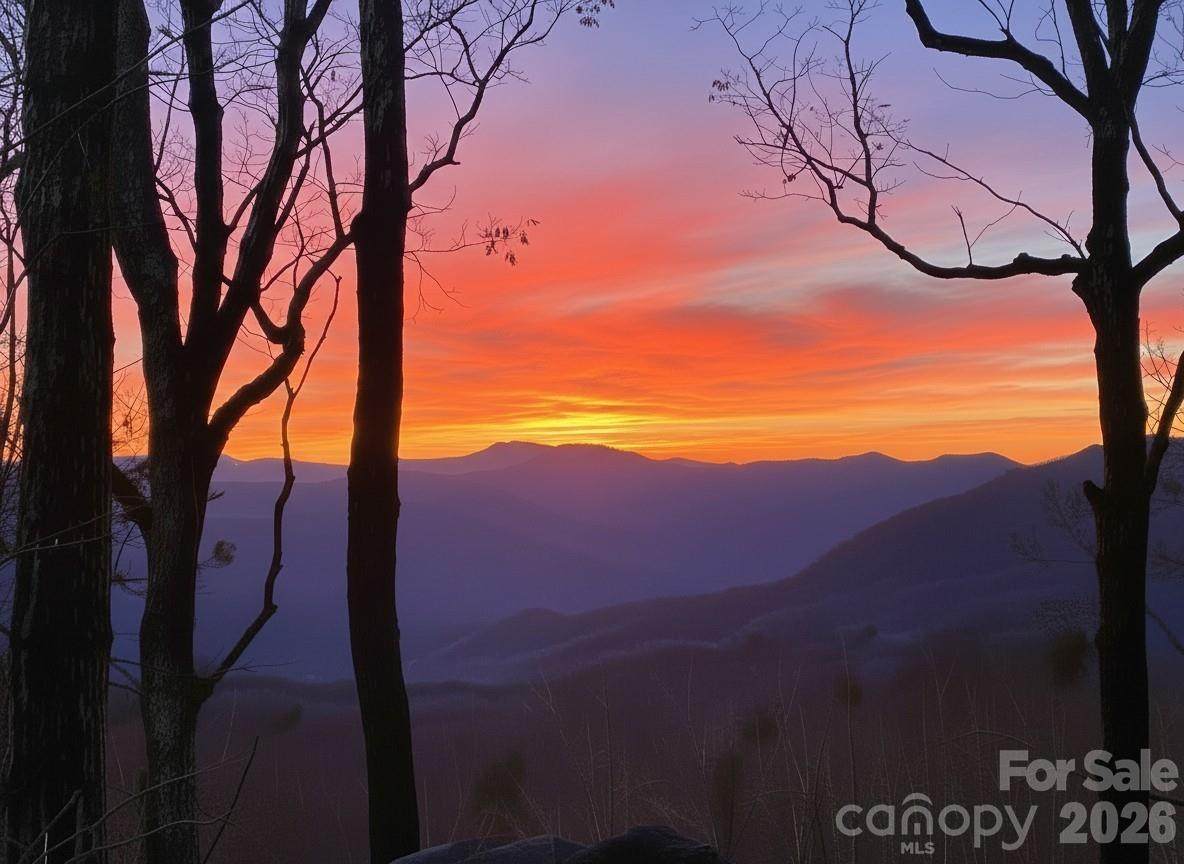 Lot 2 Warren Ridge Road - Photo 1