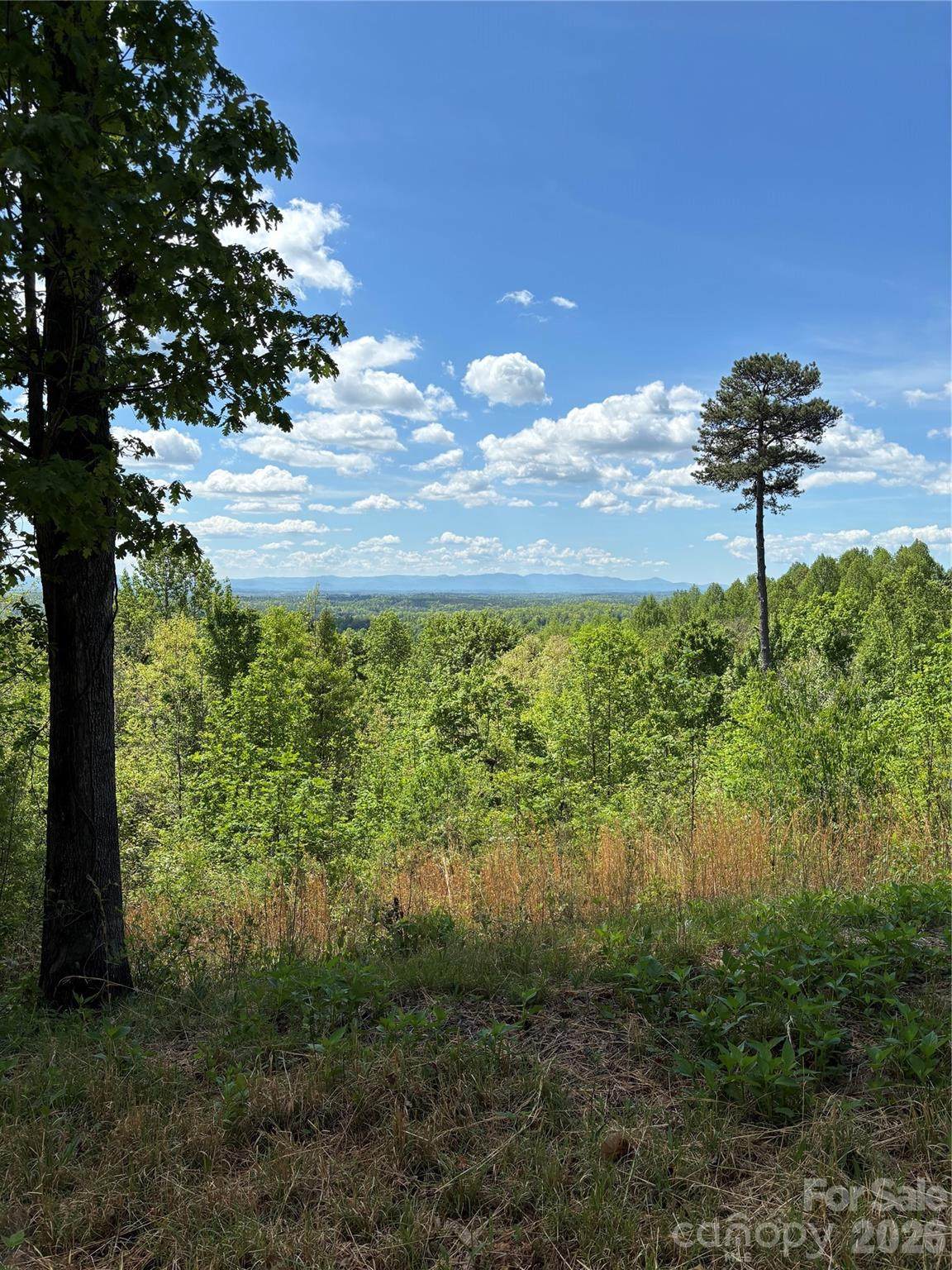 https://bt-photos.global.ssl.fastly.net/cmls/1280_boomver_2_4342631-1.jpg