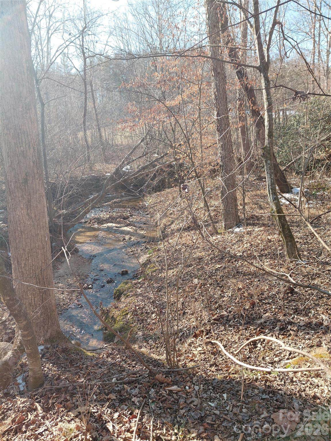 3825 Wood Glen Drive - Photo 1