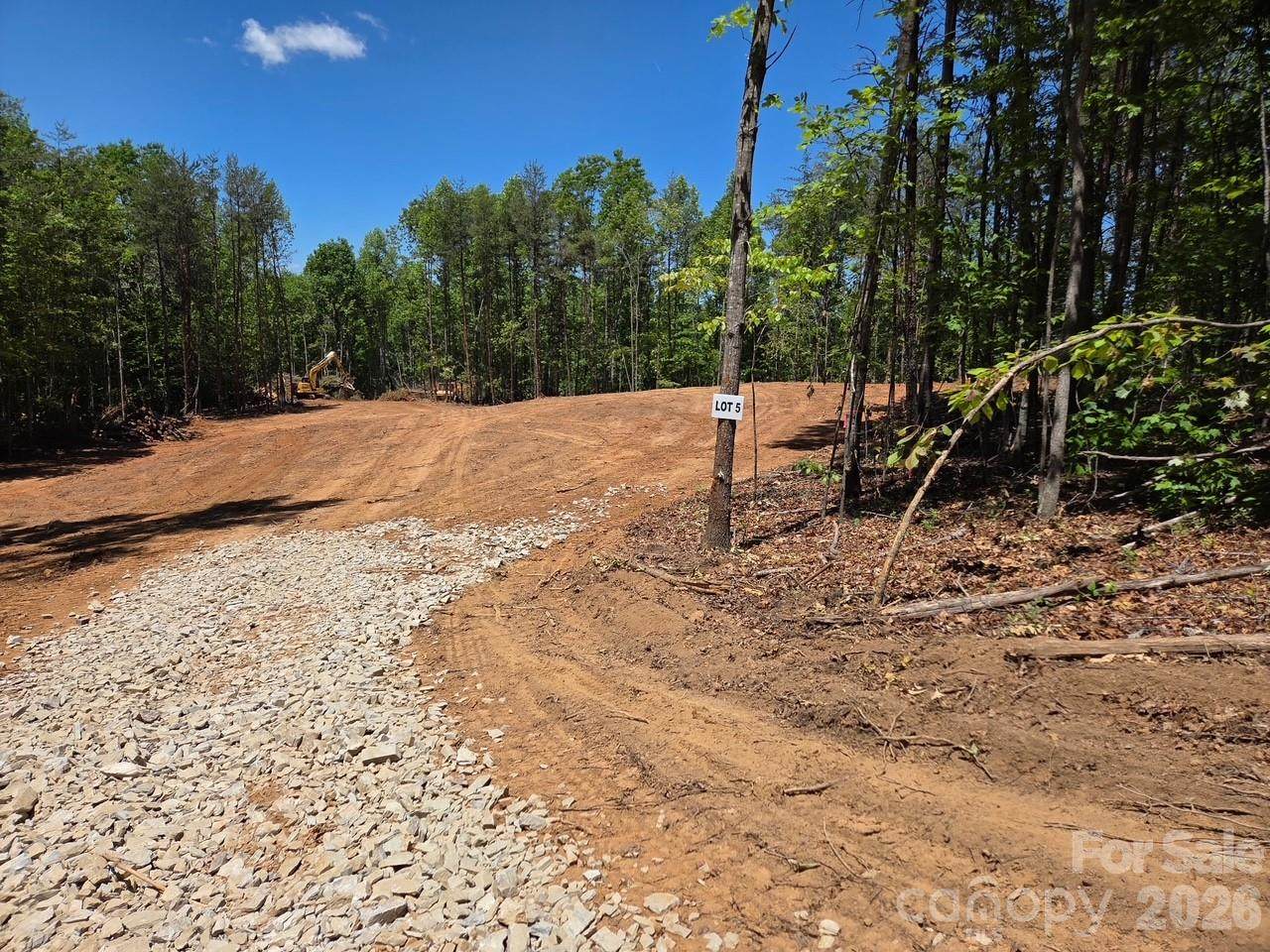 TBD Vein Mountain Road - Photo 1