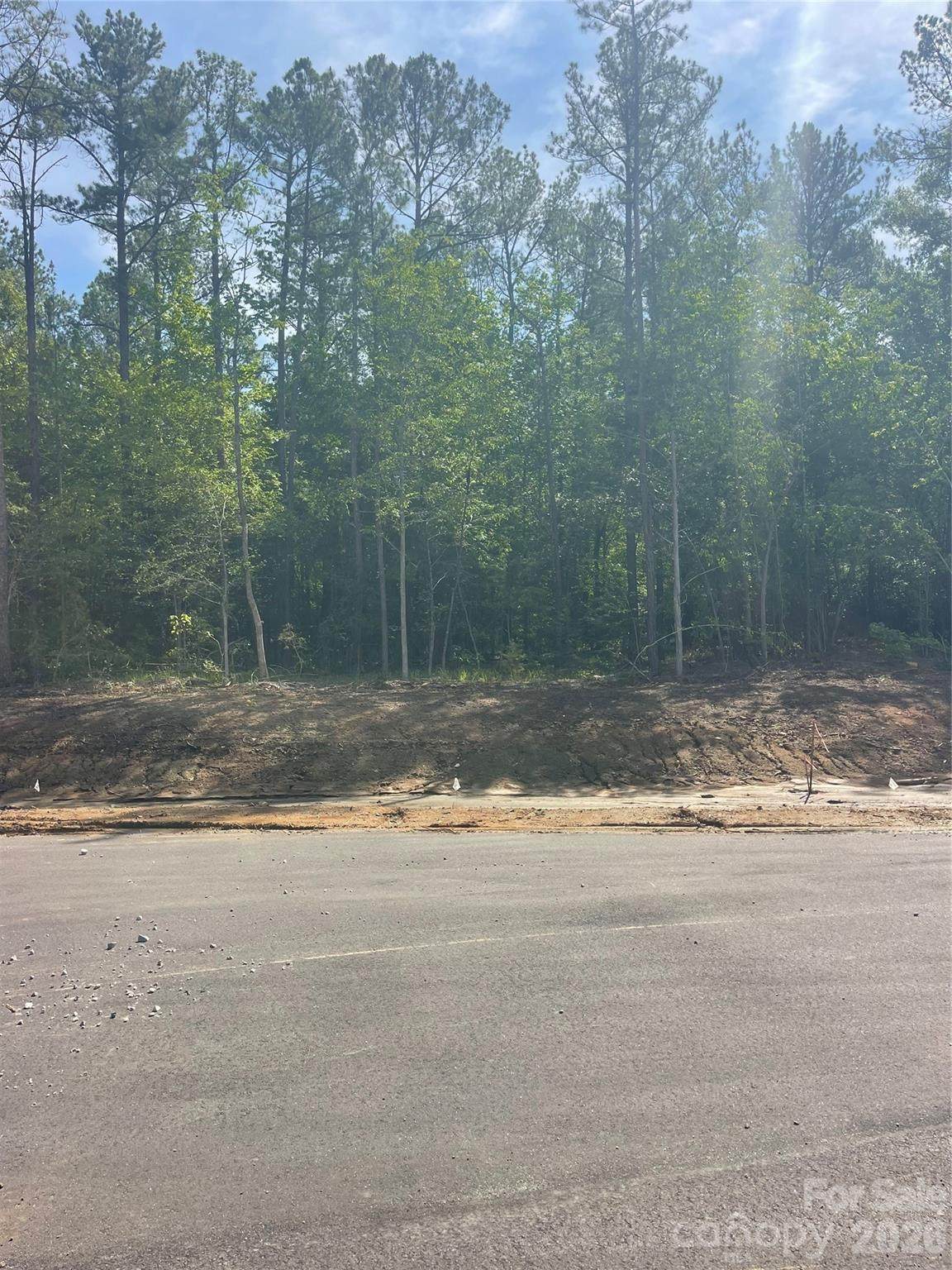 729 Everwood Drive - Photo 1