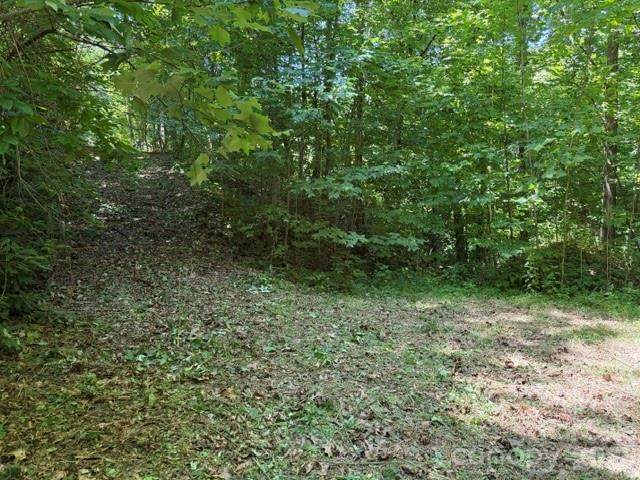 00 Heavenly View Drive - Photo 1