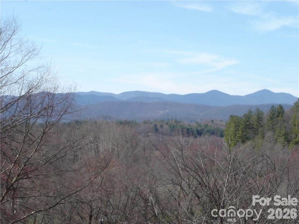 Lot #12 Cummings Cove Parkway - Photo 1