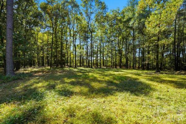 00 Landsford Road - Photo 1