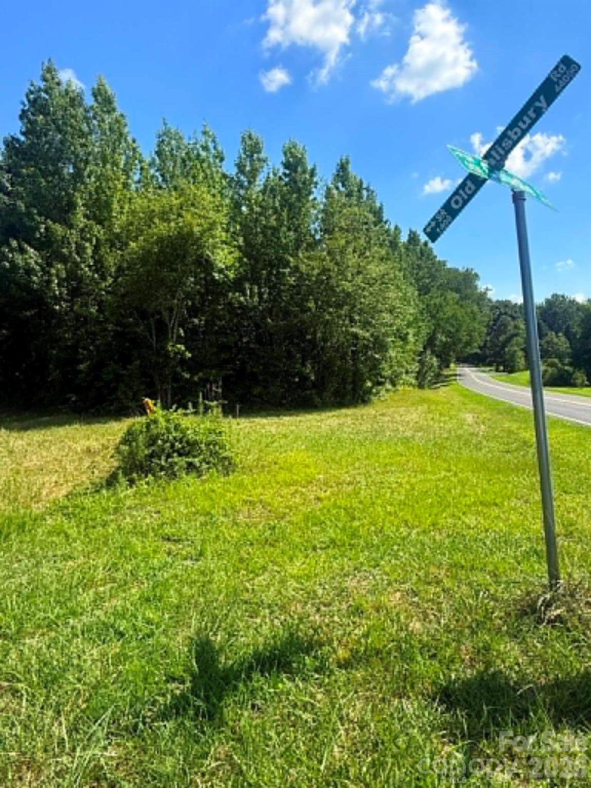 0 Old Salisbury Road - Photo 1