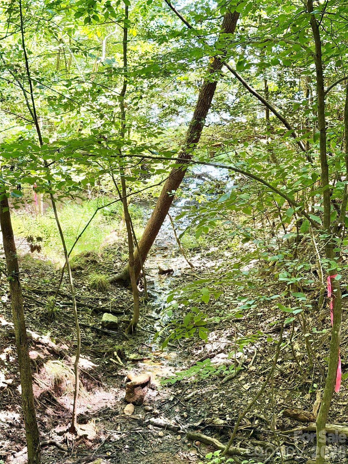 283 Rivercliff Drive - Photo 1