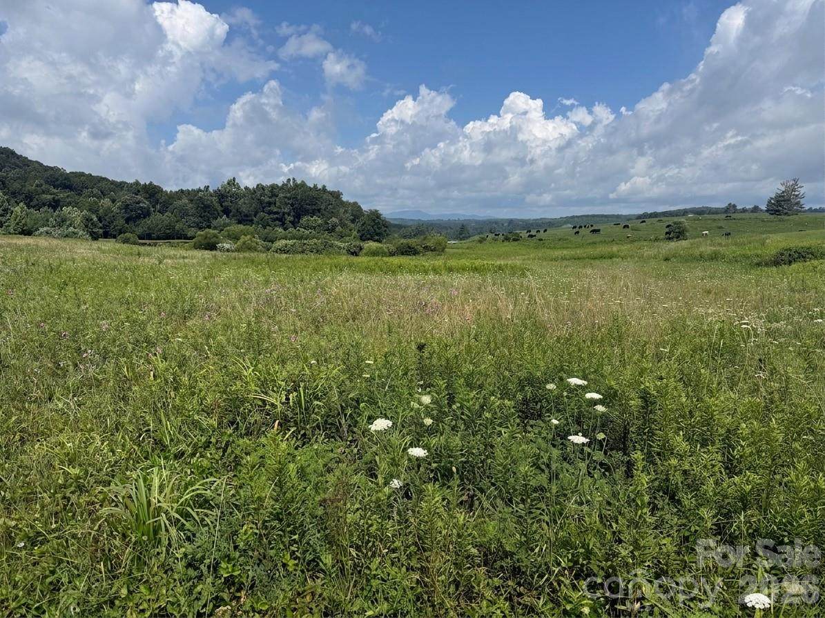 TBD Blue Ridge Estates - Photo 1