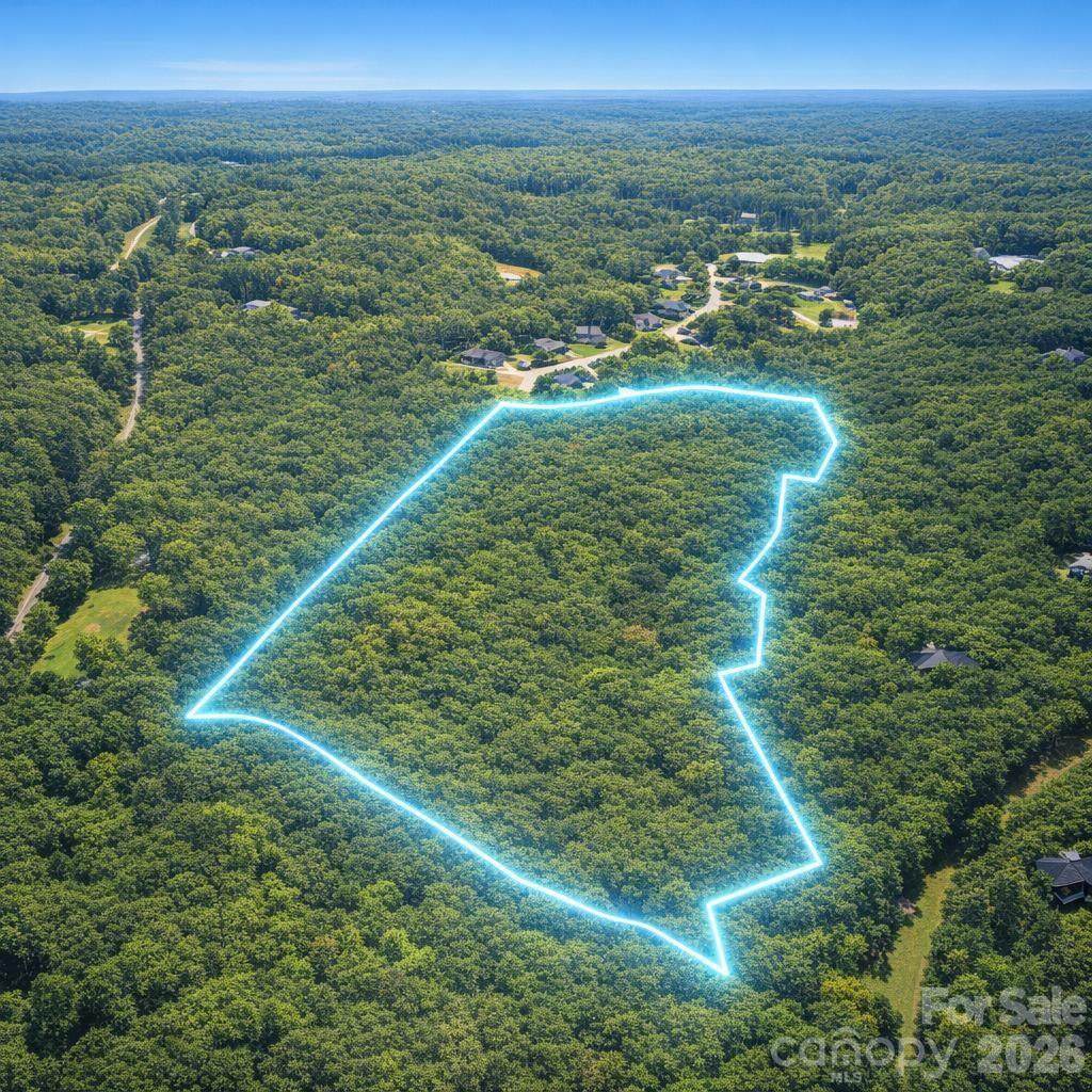 25 Ac Brandon Road - Photo 1