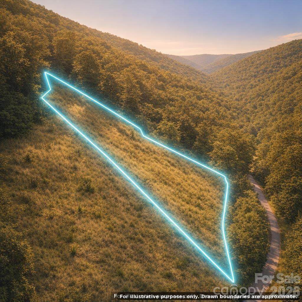 000 Lands Creek Road - Photo 1