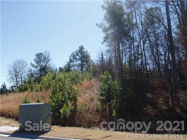 3114 Charlotte Highway - Photo 1