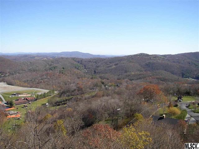 Lots 13-15 Alpine Drive - Photo 1