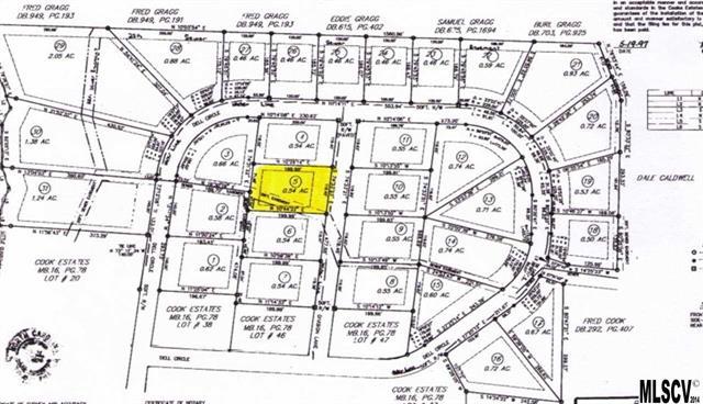 Lot 5 Merlins Way - Photo 1