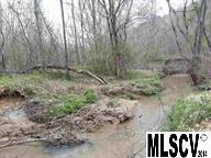 tbd Blue Creek Road - Photo 1