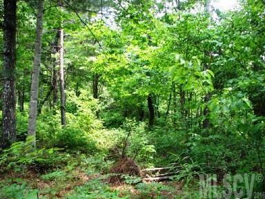 5848 Long Shore Drive - Photo 1