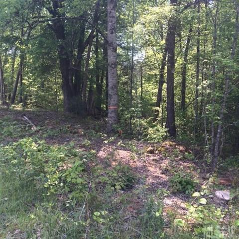 2482 Taylorsville Road - Photo 1