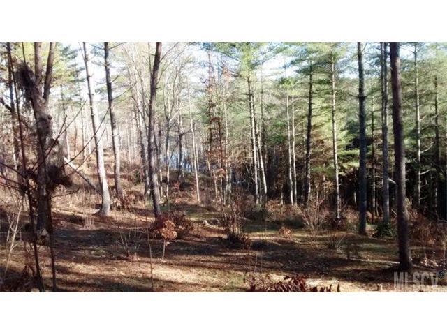 3160 Bear Paw Avenue - Photo 1