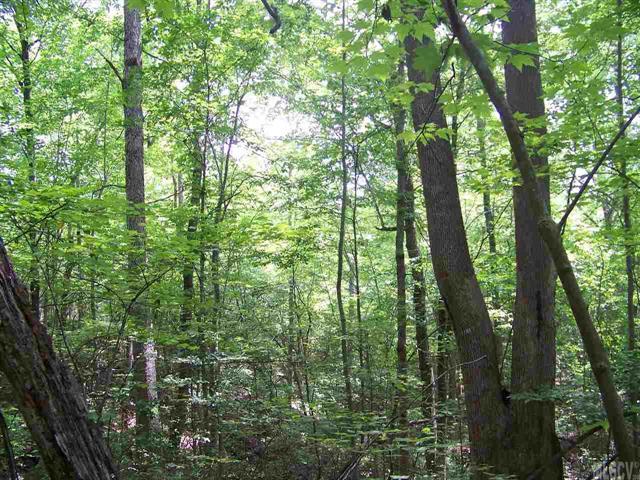 2209 Connelly Springs Road - Photo 1