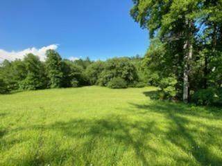 4017 Piney Road - Photo 1