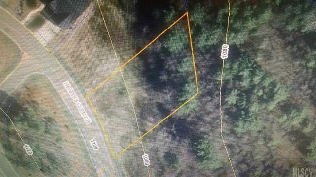 V/L 210 Henrys Glen Drive - Photo 1