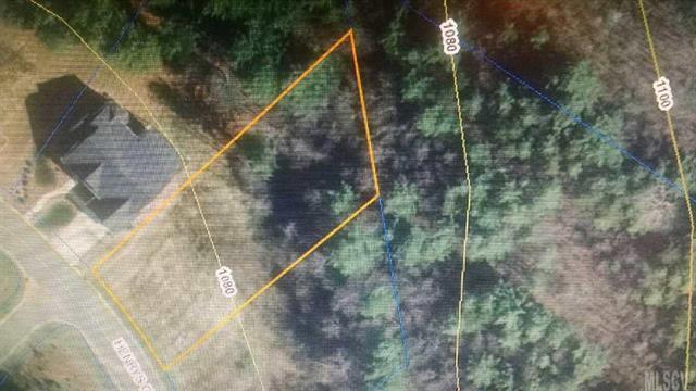 V/L 212 Henrys Glen Drive - Photo 1