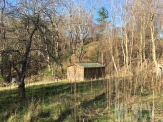 753 Apple Orchard Lane - Photo 1