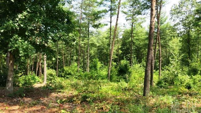 3146 Bear Paw Avenue - Photo 1