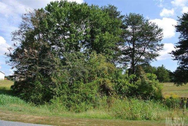 Lot 51 Lynnbrook Lane - Photo 1