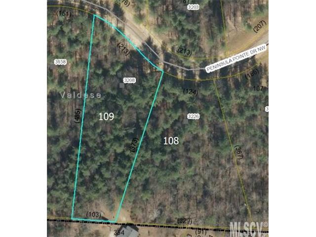 3208 Peninsula Pt Drive - Photo 1