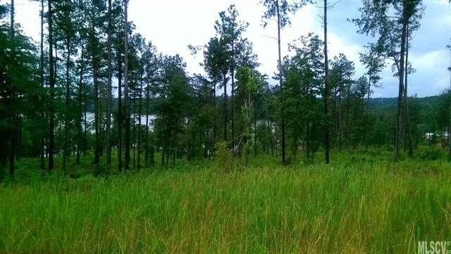 00 Waters Edge Drive - Photo 1