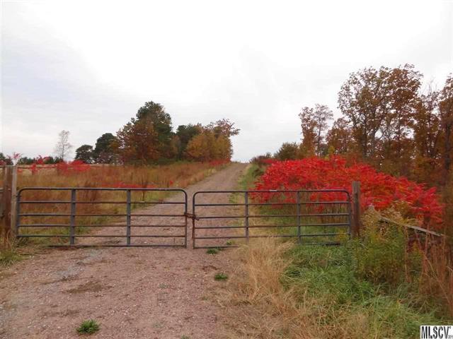 VL Shady Rough Road - Photo 1