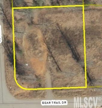 Lot 40 Bear Trail - Photo 1