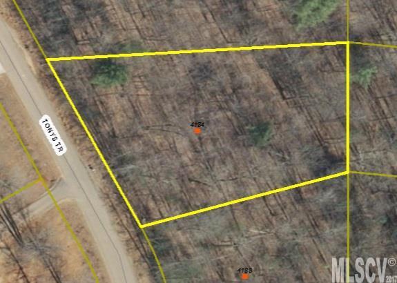 4184 Tonys Trail - Photo 1