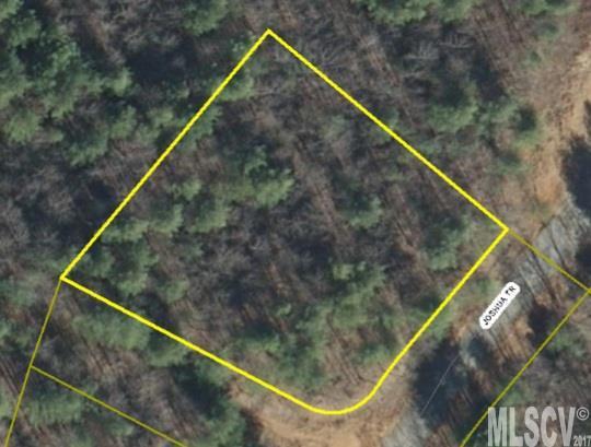 Lot 108 Joshua Trail - Photo 1