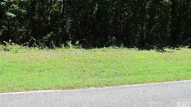 00 Dyson Lane - Photo 1