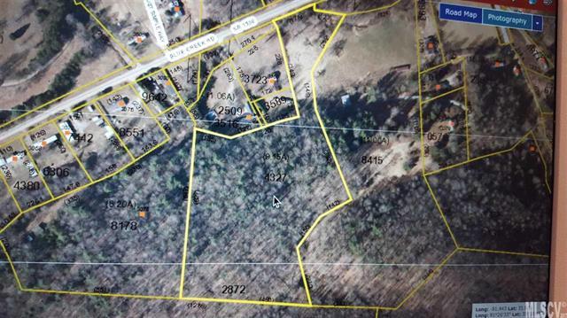 00 Blue Creek Road - Photo 1