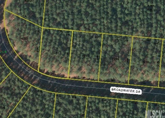 Lot 205 Broadwater Drive - Photo 1