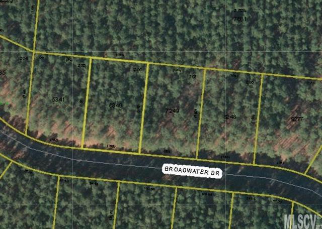 Lot 206 Broadwater Drive - Photo 1