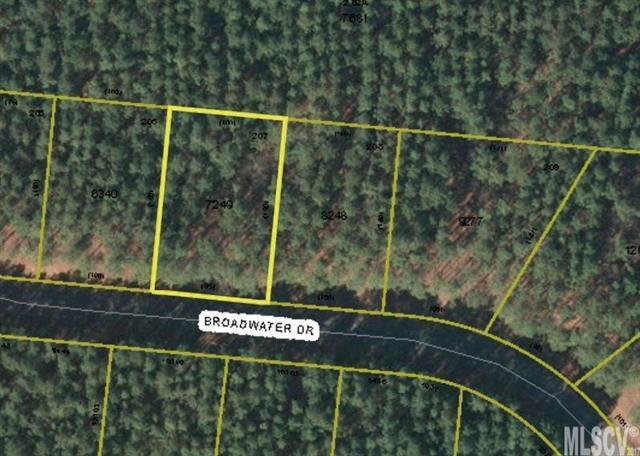 Lot 207 Broadwater Drive - Photo 1