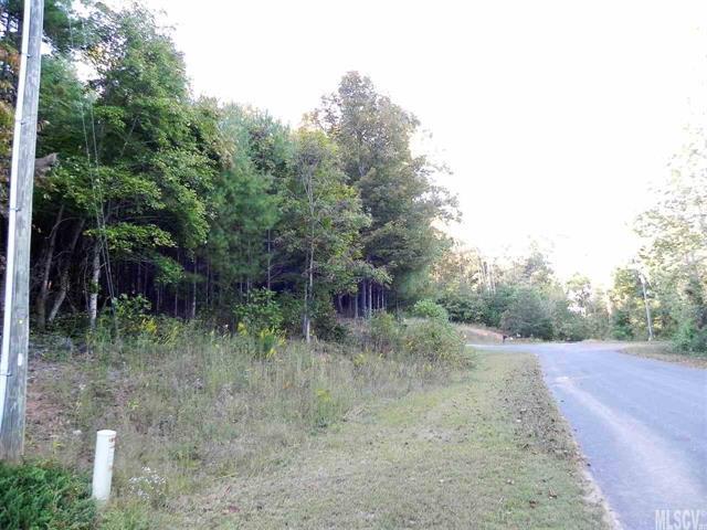 0 Old School Trail - Photo 1