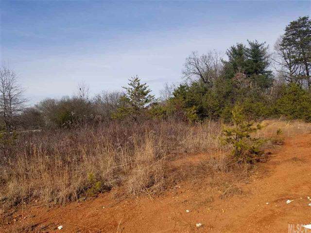 00 Princeton Forest Drive - Photo 1