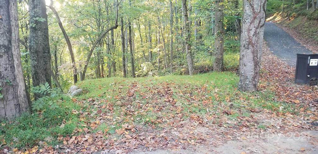 25 Running Deer Lane - Photo 1