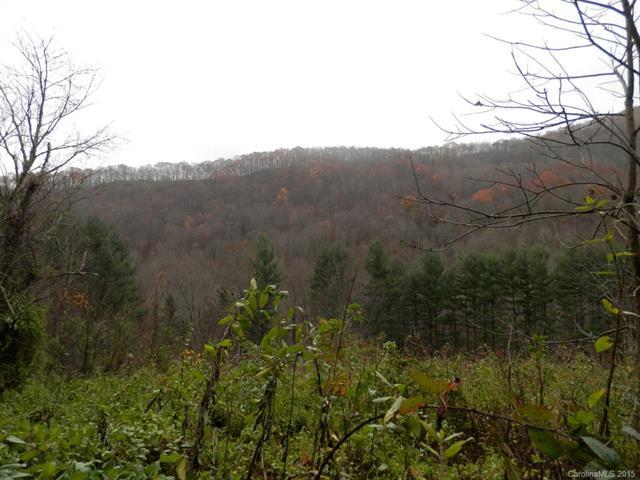 620 Falling Waters Road - Photo 1