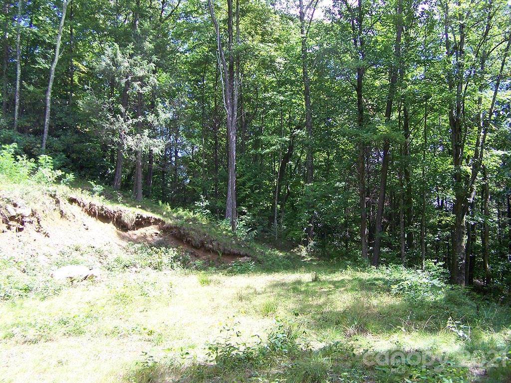1491 Winding Creek Drive - Photo 1
