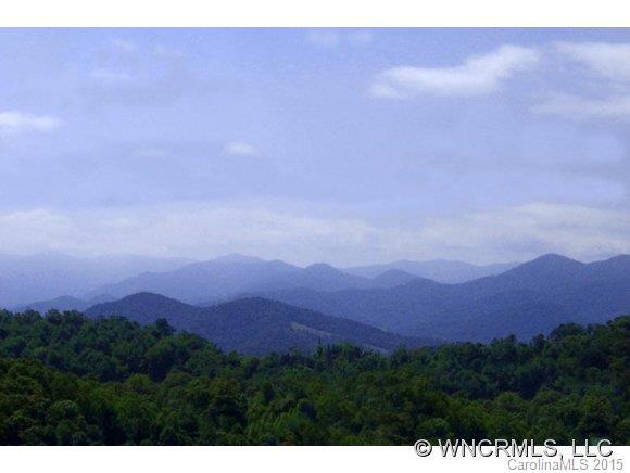 000 Smoke Vine Lane - Photo 1