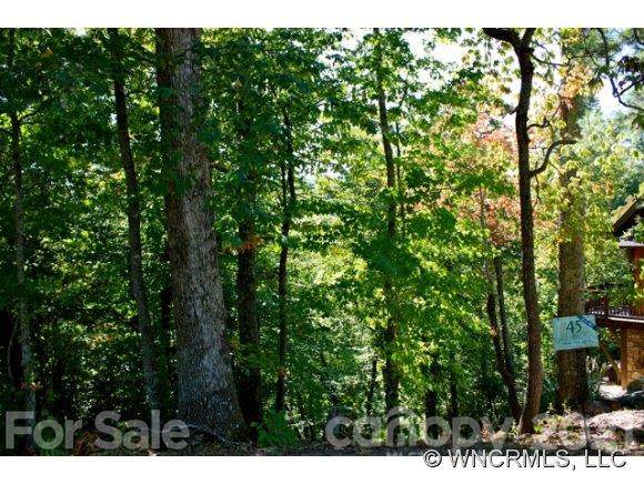 10 Whitman Lane - Photo 1