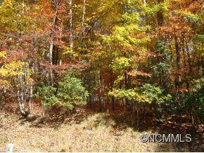 Lot 63 Cheestoonaya Way Way - Photo 1