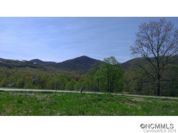 33 Rain Lily Trail - Photo 1