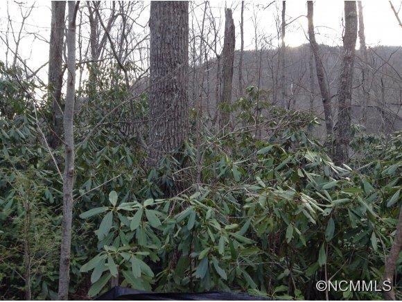 663 lot Kentucky Road - Photo 1